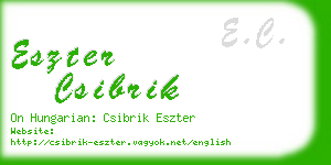 eszter csibrik business card